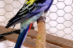 e2