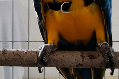 e6