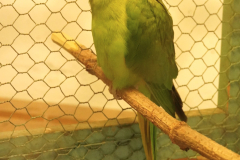 e6