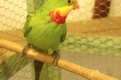 e9